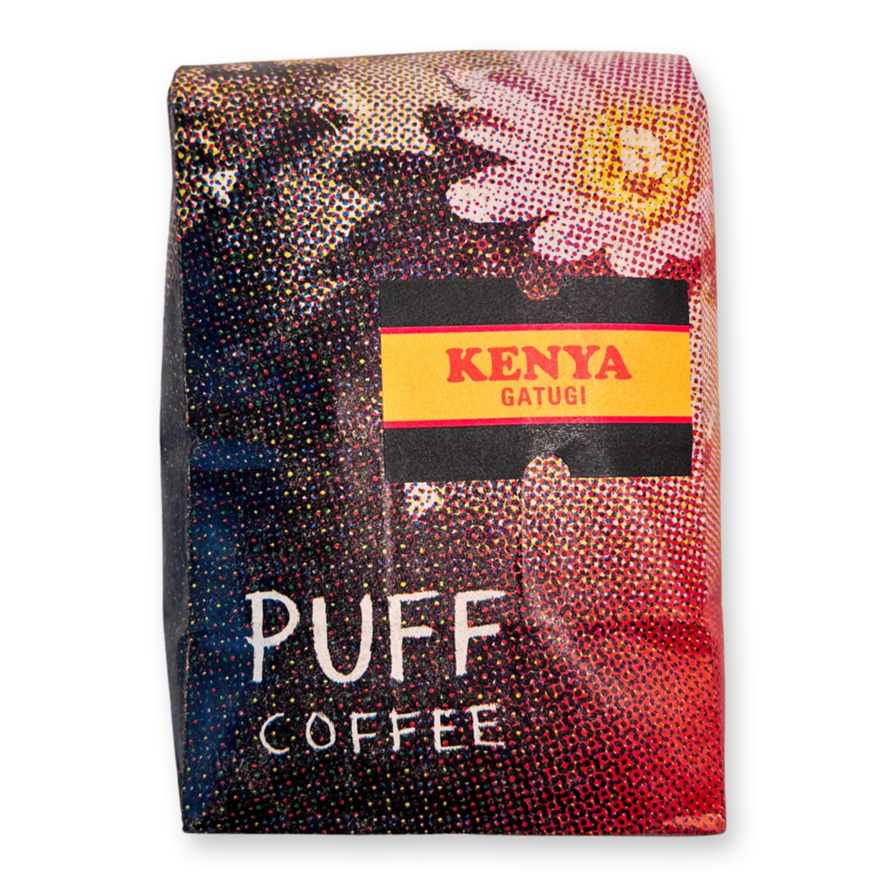 Kenya Gatugi