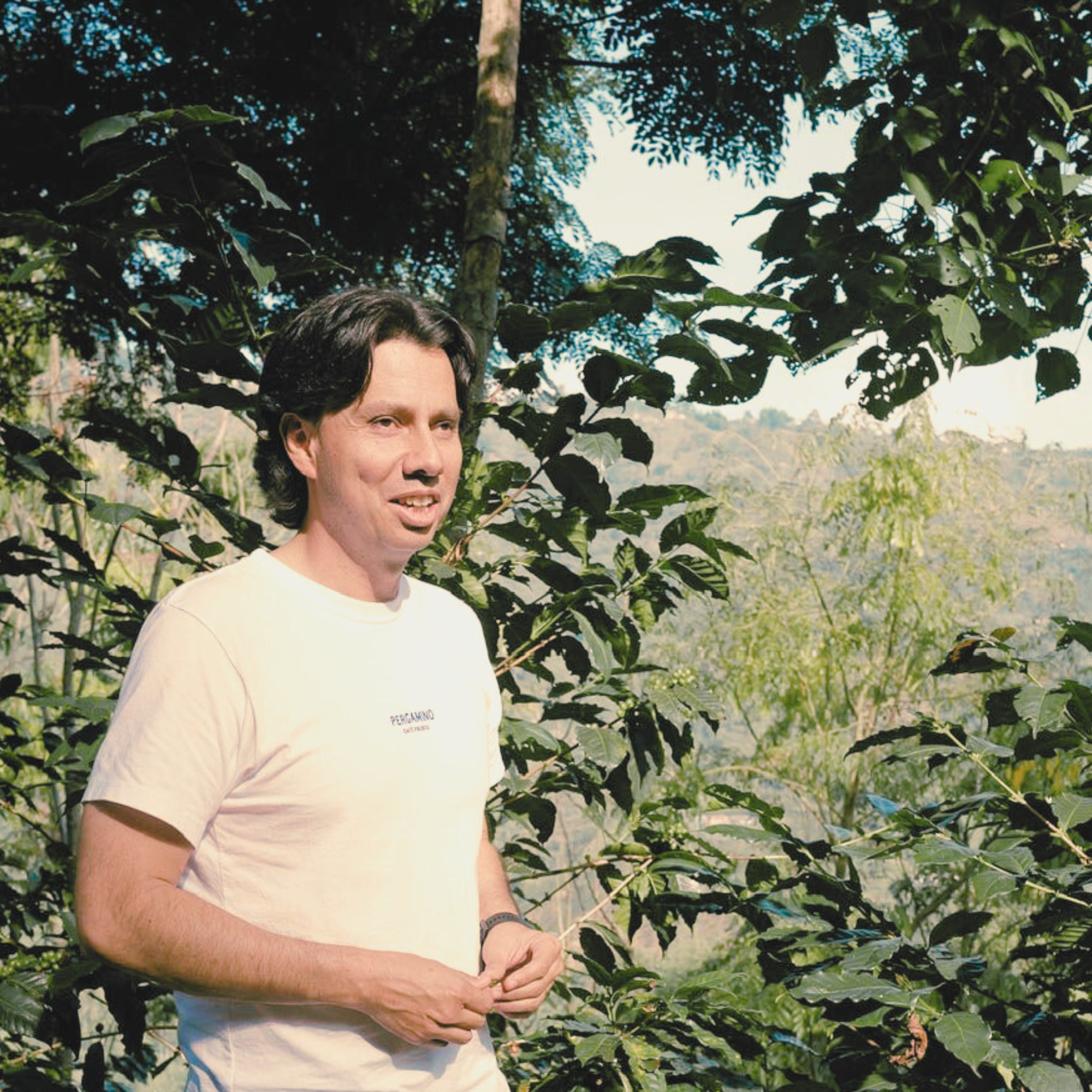 Man standing among coffee plants in a coffee farm