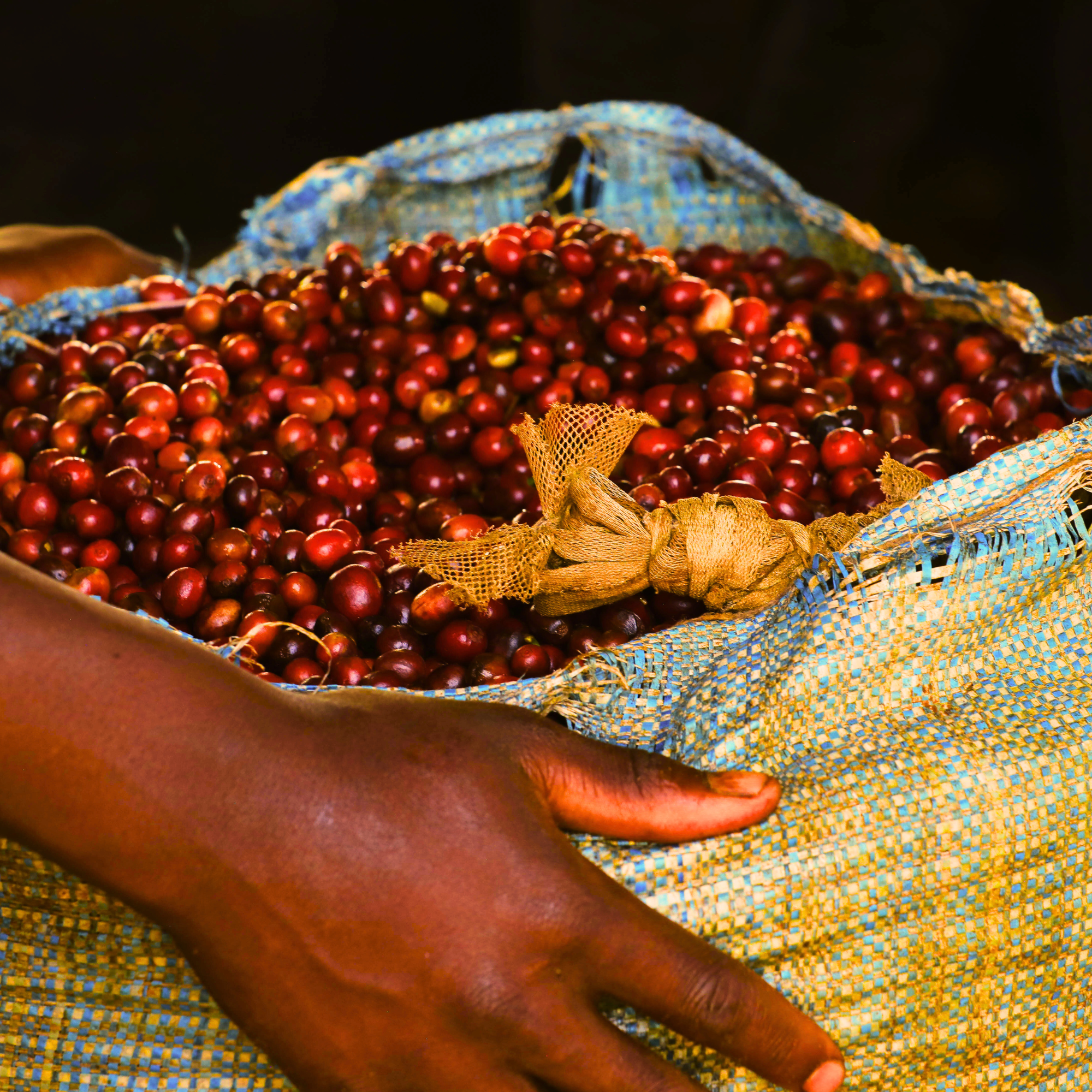portland coffee roaster | burundi natural process whole bean coffee | puff coffee 